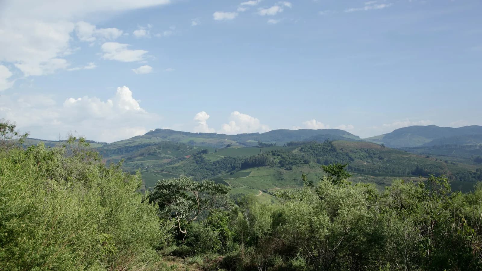Paisagem de morros e mata no interior de São Paulo, na região de Santa Isabel