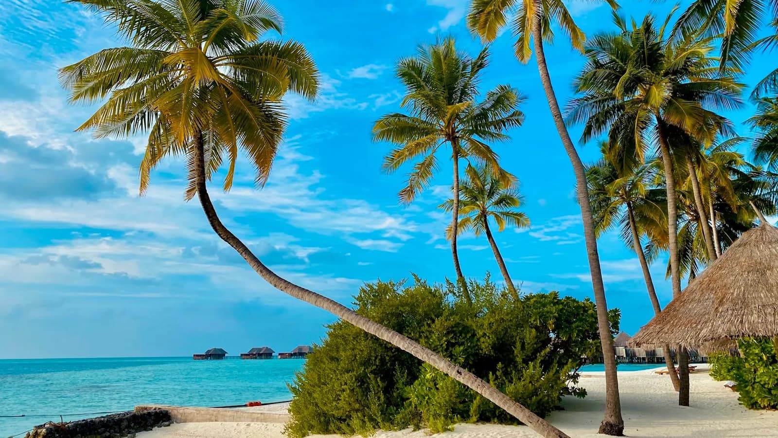 Águas calmas e praias paradisíacas da Ilha de Boipeba na Bahia