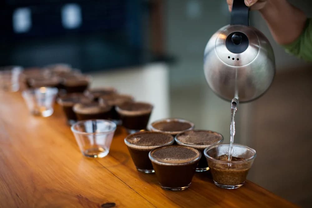 Fazenda Pinhal - foto 8