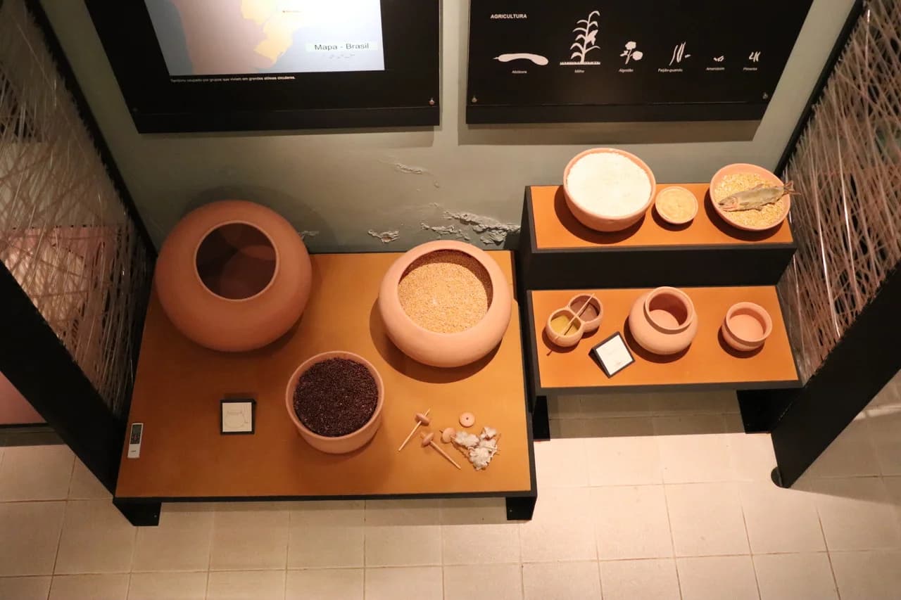 Museu Arqueológico Água Vermelha - foto 5