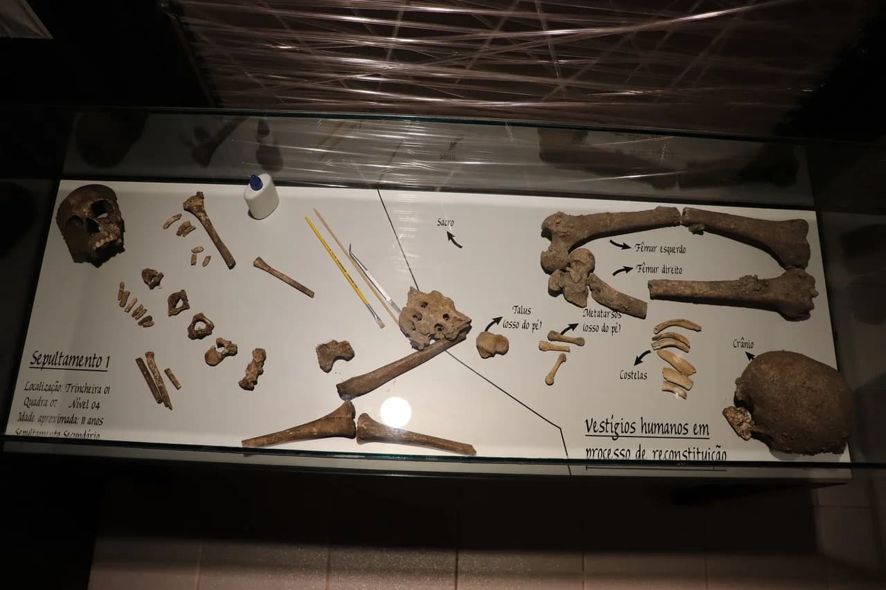 Museu Arqueológico Água Vermelha - foto 4