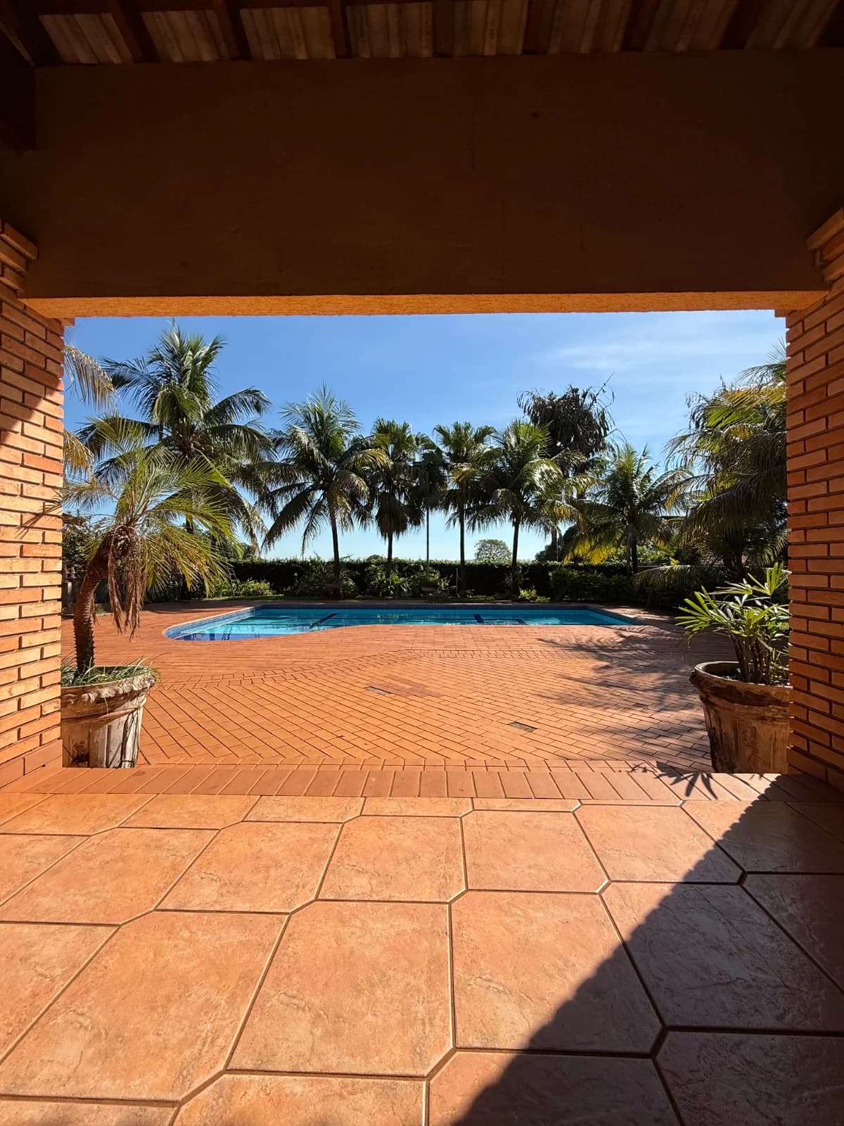 Rancho em Cardoso - Foto 4
